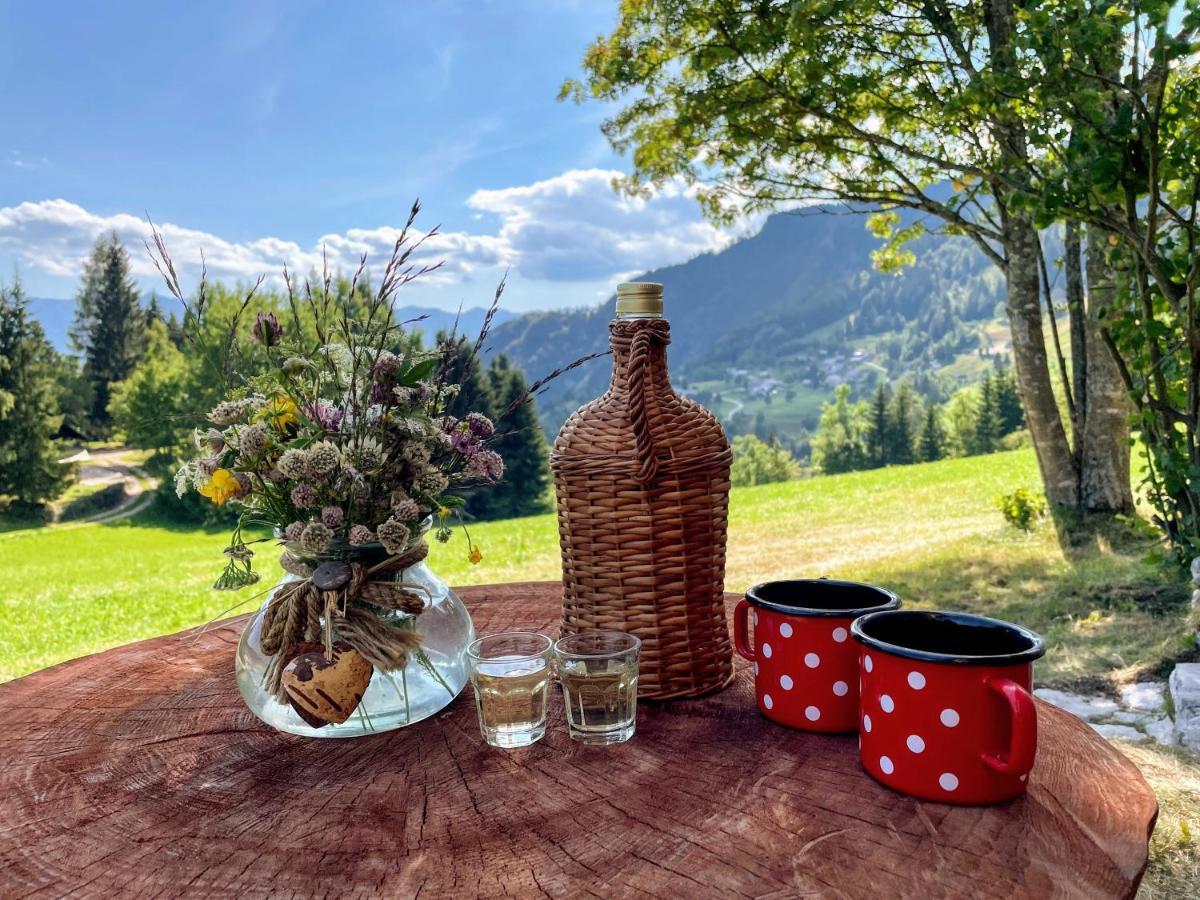 Chalet Hike&Bike Above Bohinj Valley Экстерьер фото